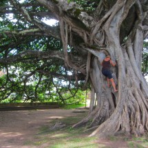 Vera is climbing on a huge tree